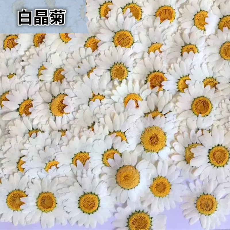 100 Pezzi di Fiori Secchi Natu - Resin Craft Ideas recensione e prezzo
